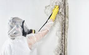 Best Emergency Mold Remediation  in Whitewater, KS